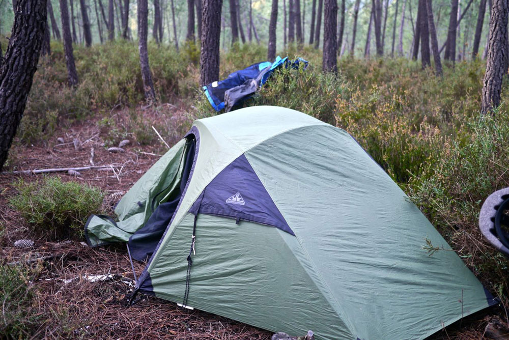 A perfect campsite along the quiet country road.