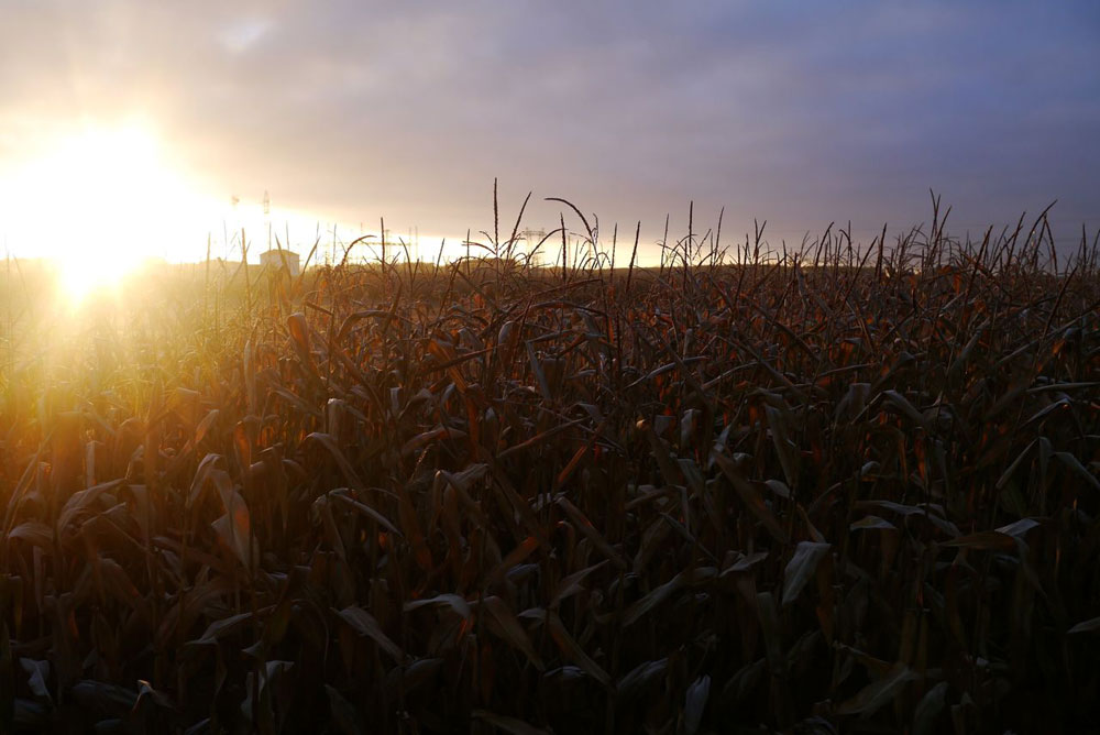 Early mornings meant great sunrises